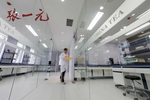 2024中国茶企品牌价值Top10风采展示 百年张一元荣登榜，现代琳龙物流展新篇